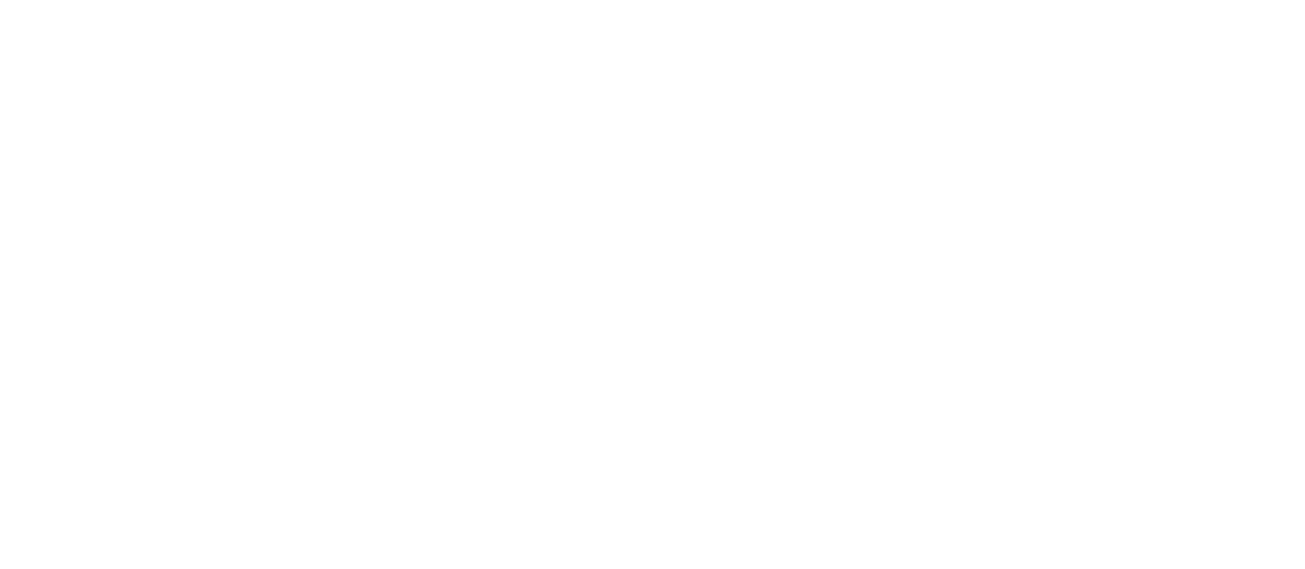 Pula Media
