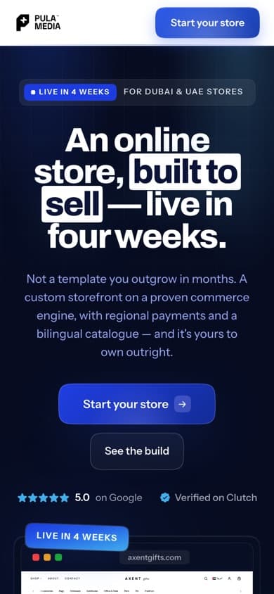 The same landing page on a phone