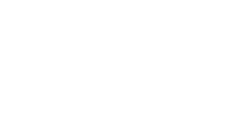 Pula Media